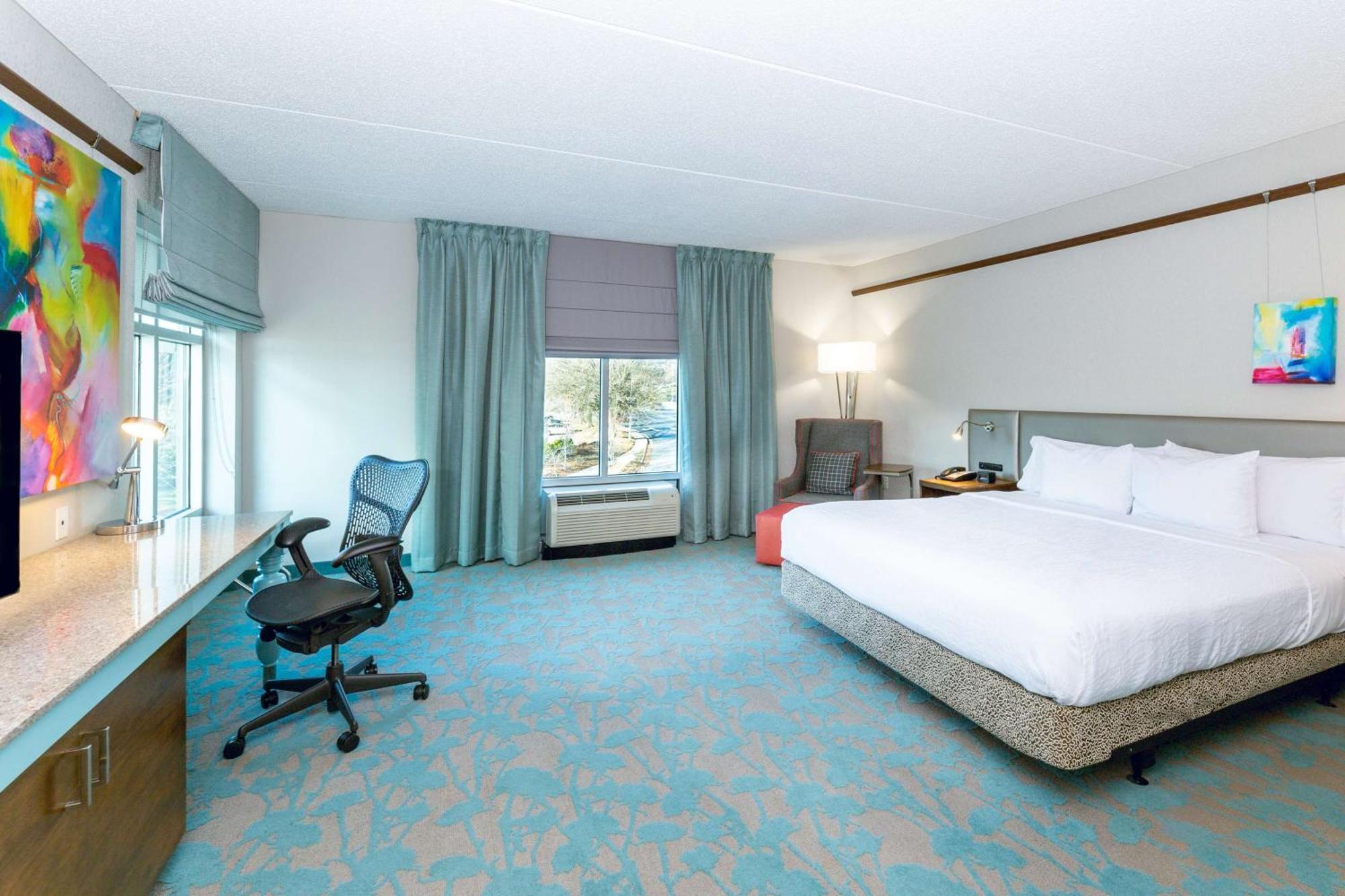 Hilton Garden Inn Asheville Downtown Экстерьер фото